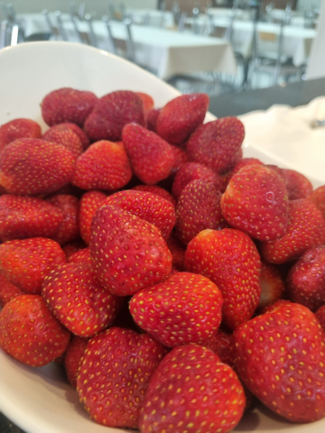 Morangos frescos servidos no salão do Gastro Serra preparado para receber convidados